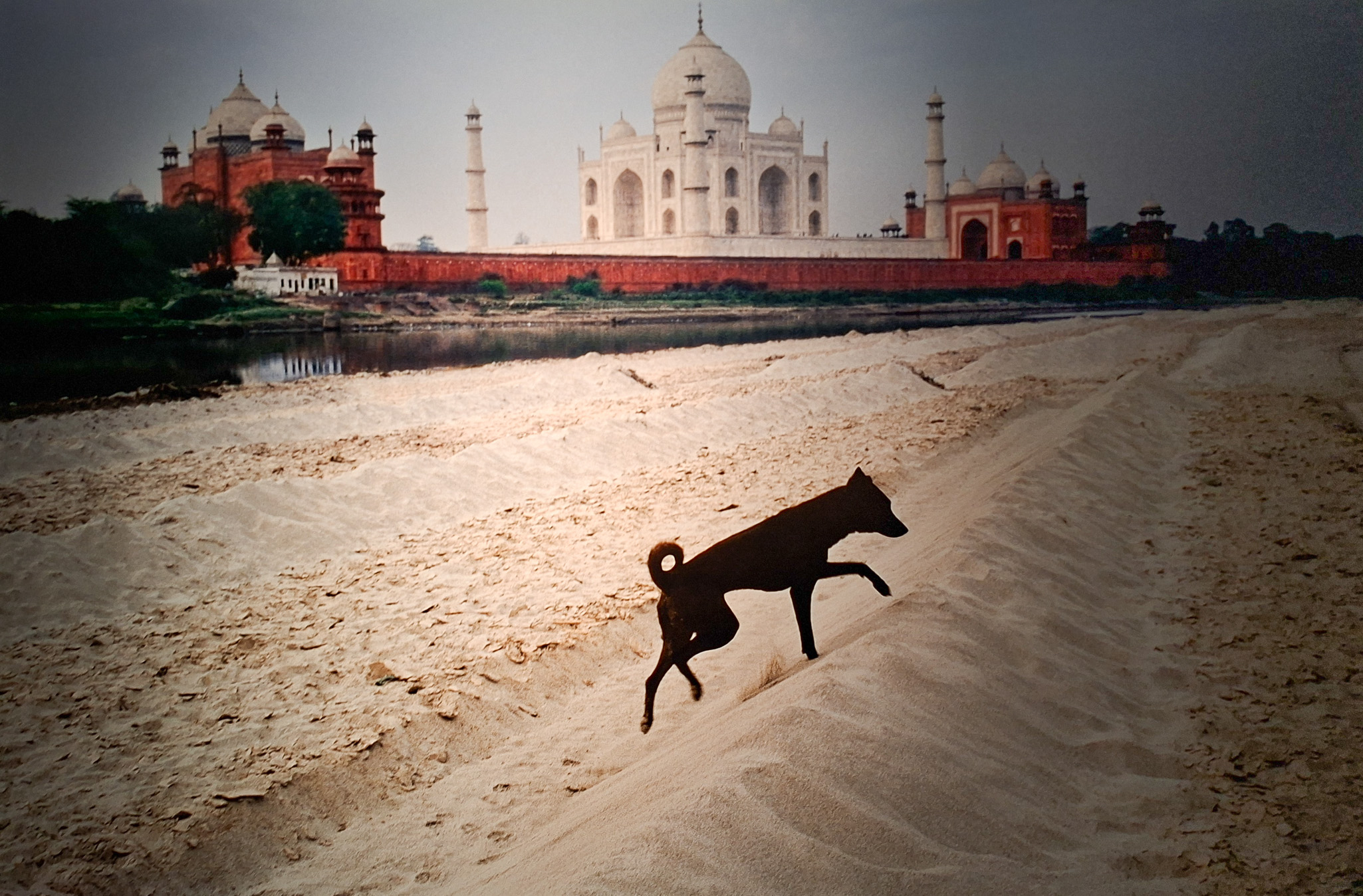Móvil 20260613 Steve McCurry 125